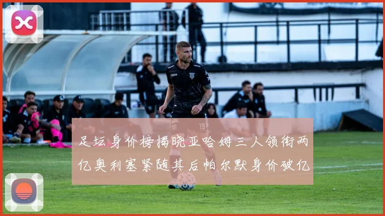 足坛身价榜揭晓亚哈姆三人领衔两亿奥利塞紧随其后帕尔默身价破亿