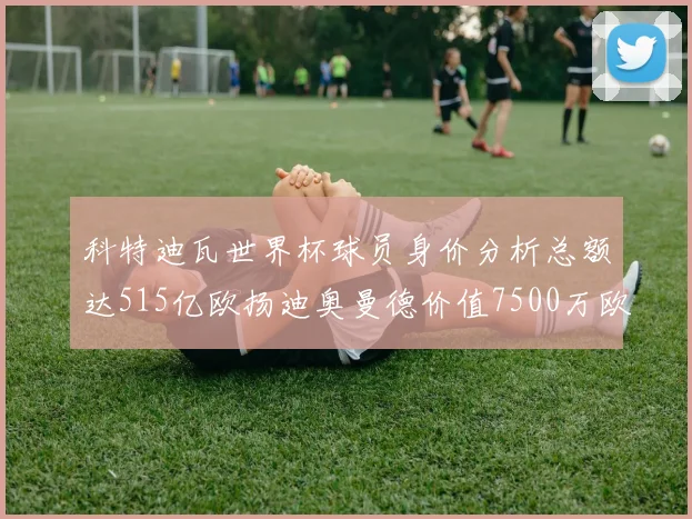 科特迪瓦世界杯球员身价分析总额达515亿欧扬迪奥曼德价值7500万欧