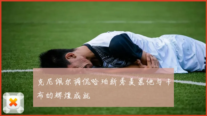 克尼佩尔调侃哈珀新秀羡慕他与卡布的辉煌成就