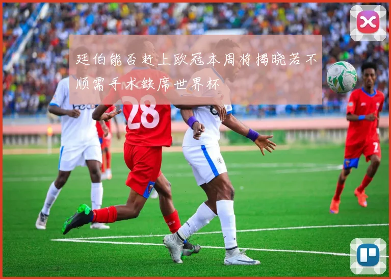 廷伯能否赶上欧冠本周将揭晓若不顺需手术缺席世界杯