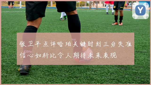 张卫平点评哈珀关键时刻三分失准信心如科比令人期待未来表现